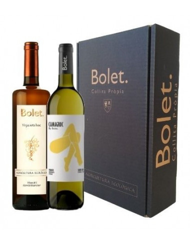 WHITE WINE VINYA SOTA BOSC I CAMAGROC WITH CASE